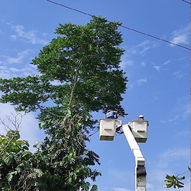 Herzoil Alturas
